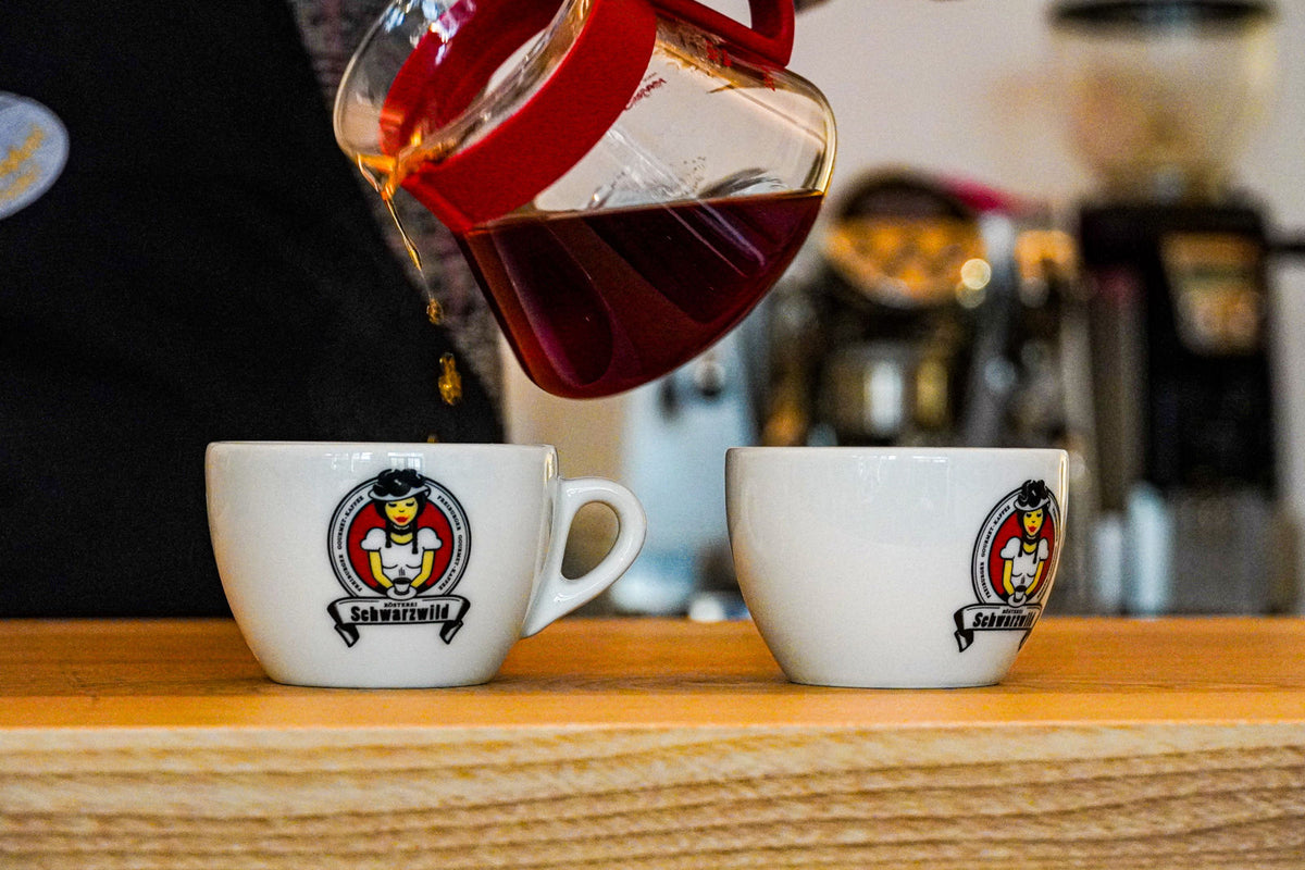 Kaffee-Aromen erkennen: Der umfassende Sensorik-Guide mit Übungen & Cupping